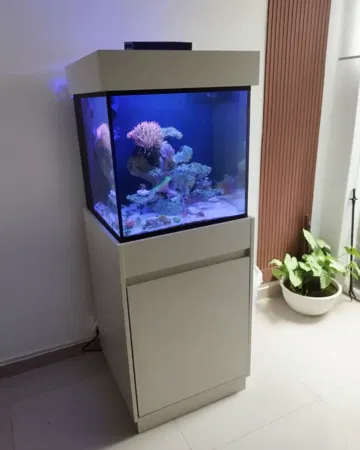movel-cubo-50x50x50-aquario-decoracao-off-white.webp Aquario cubo 50x50x50cm cubo com movel off white