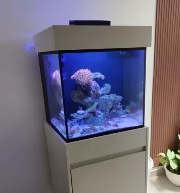 movel-cubo-50x50x50-aquario-decoracao-off-white.webp Aquario cubo 50x50x50cm cubo com movel off white